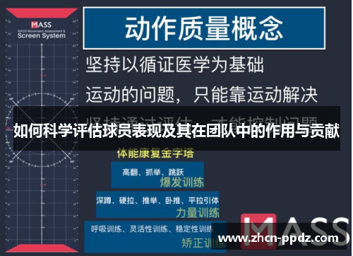 如何科学评估球员表现及其在团队中的作用与贡献
